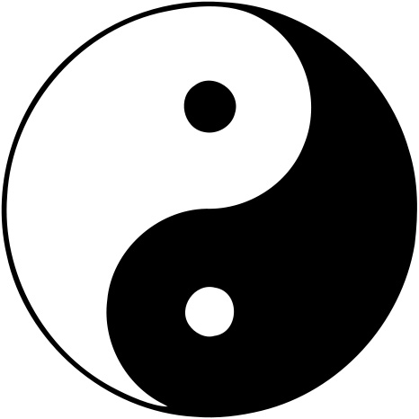 Le tàijí : symbole de la dualité yīn-yáng