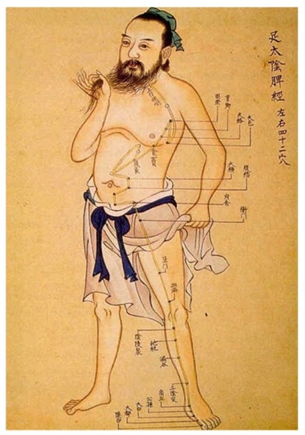 Schéma des points importants du corps humain selon la médecine chinoise