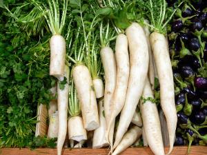 Ingrédient Radis blanc  Fruits & Légumes